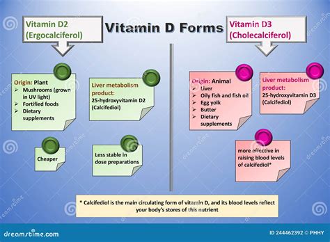 vitamin d3 and cholecaciferol.